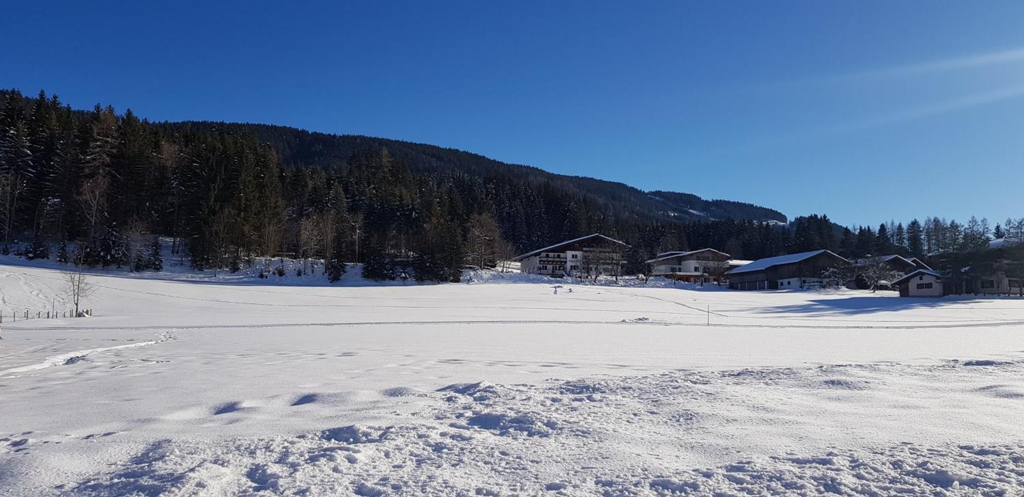 Boutique Hotel Alpenhof Sankt Martin am Tennengebirge Eksteriør billede