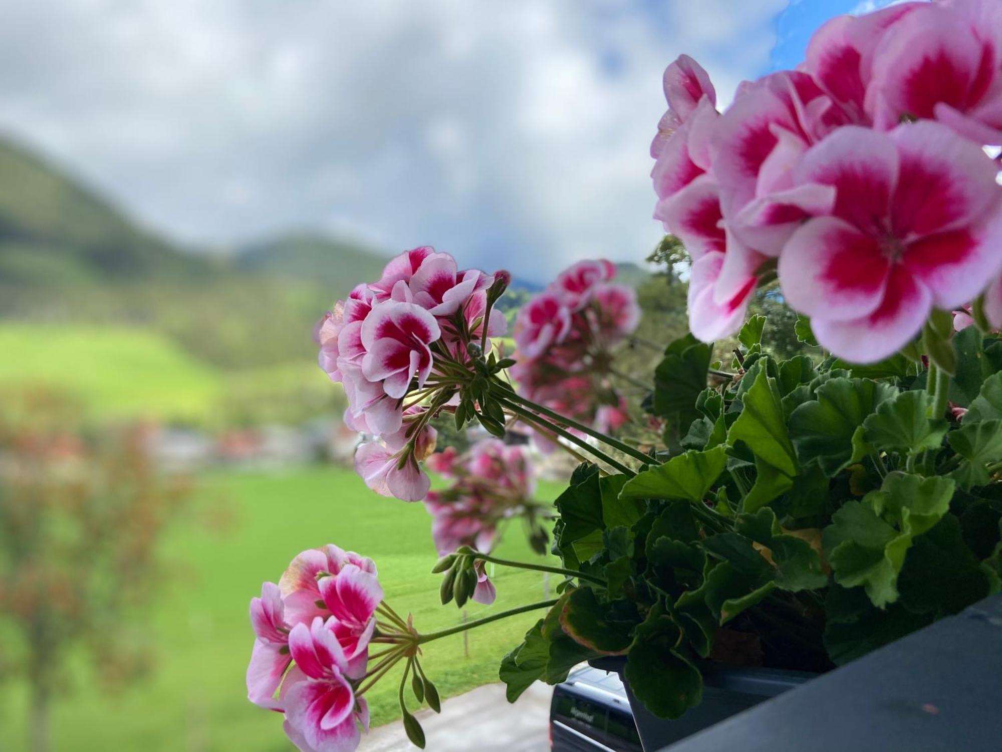 Boutique Hotel Alpenhof Sankt Martin am Tennengebirge Eksteriør billede