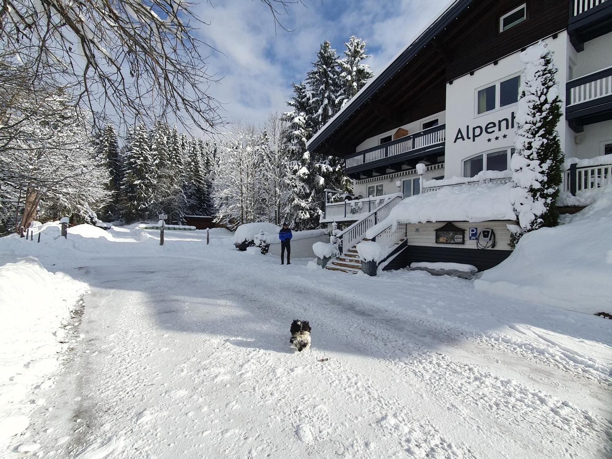 Boutique Hotel Alpenhof Sankt Martin am Tennengebirge Eksteriør billede