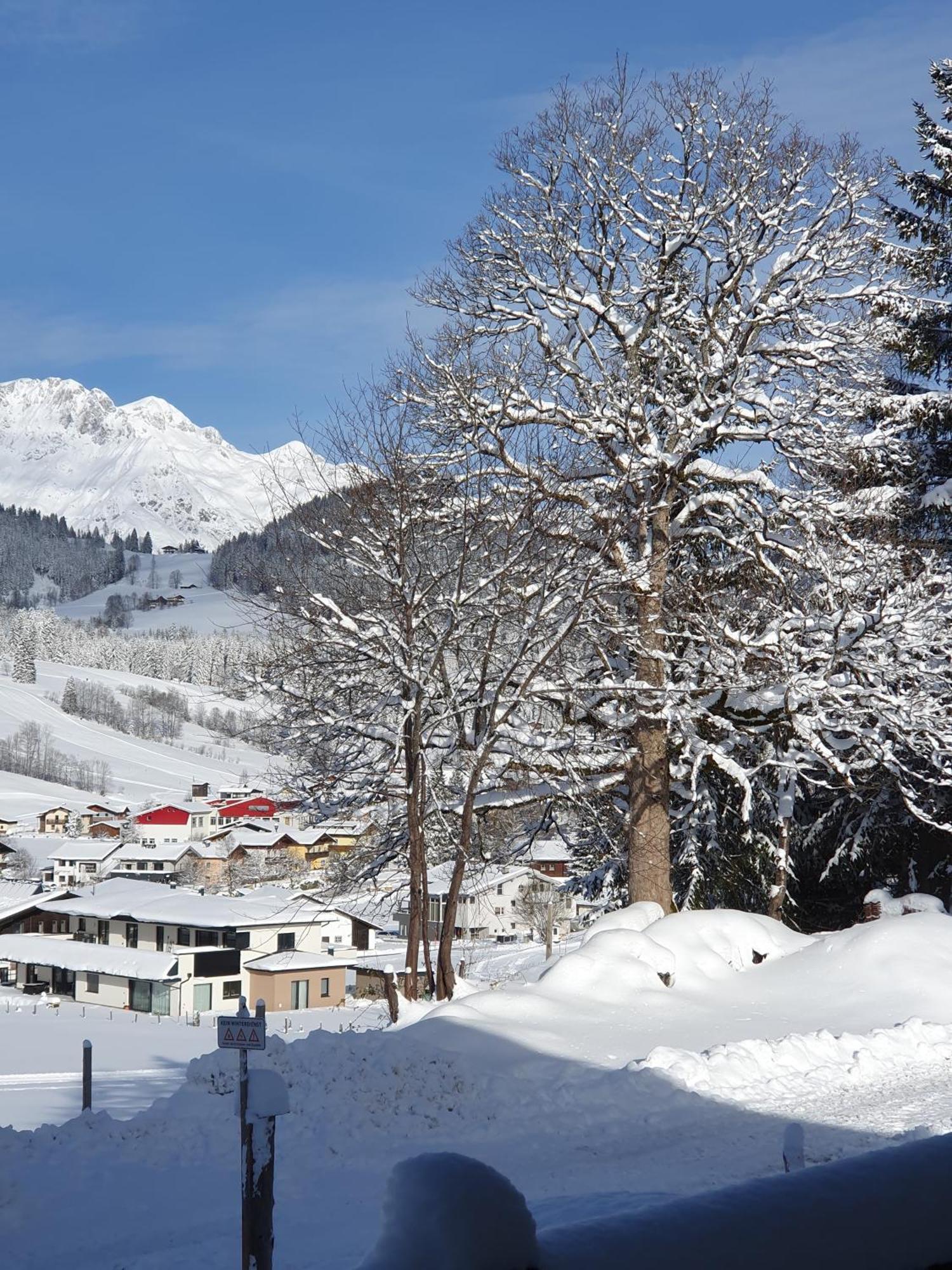 Boutique Hotel Alpenhof Sankt Martin am Tennengebirge Eksteriør billede