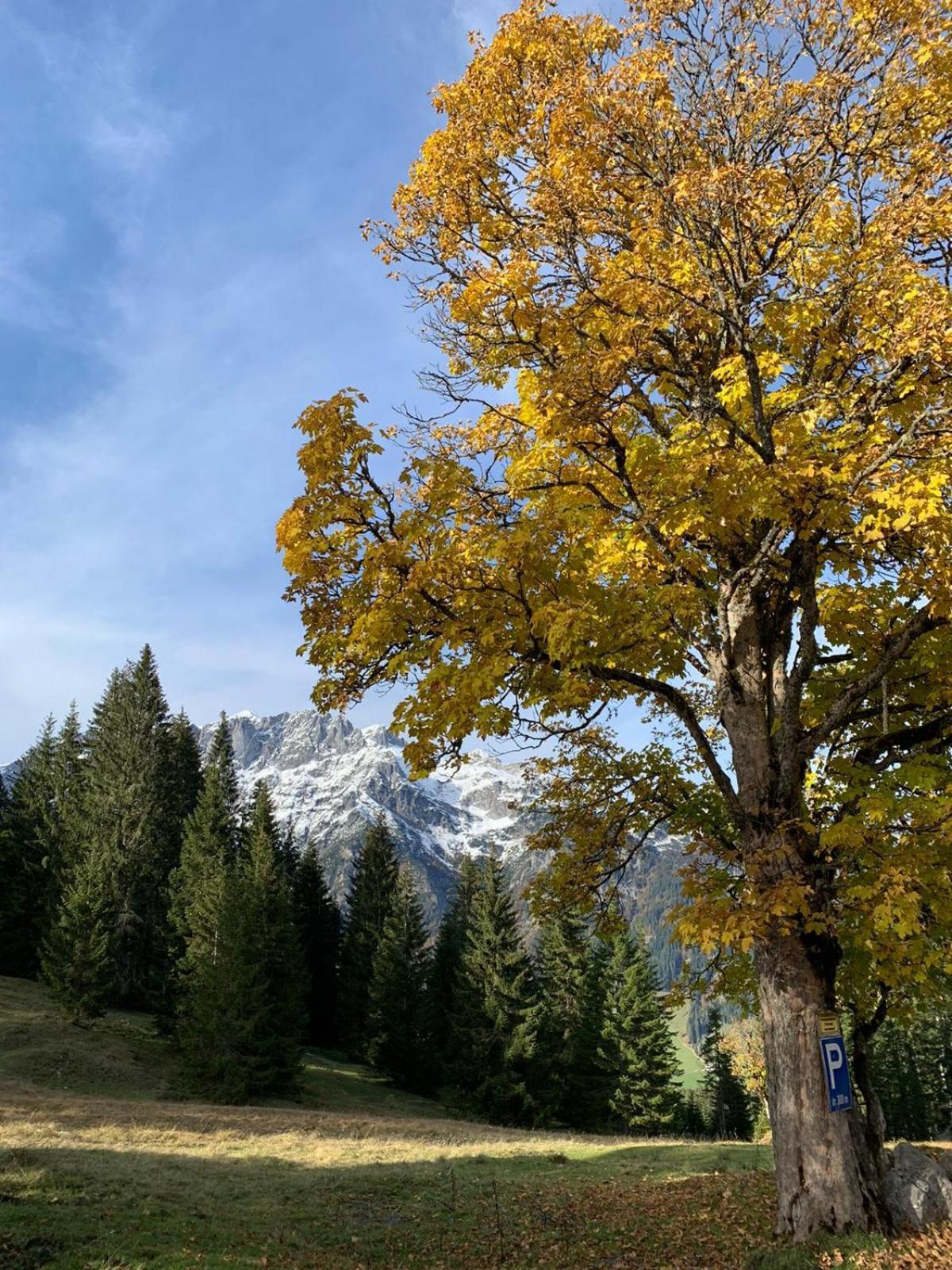 Boutique Hotel Alpenhof Sankt Martin am Tennengebirge Eksteriør billede